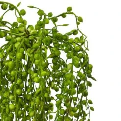 15" Senecio Succulent, 3ct. -Michaels D251825S 2