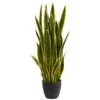 3ft. Potted Green & Yellow Snake Plant -Michaels D251827S 11