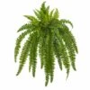 35” Boston Fern Plant, 2ct. -Michaels D251829S 11