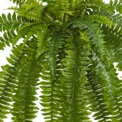 35” Boston Fern Plant, 2ct. 9 35” Boston Fern Plant, 2ct. -Michaels D251829S 13