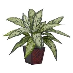 12" Potted Silver Queen Plant, 2ct. -Michaels D251835S 2