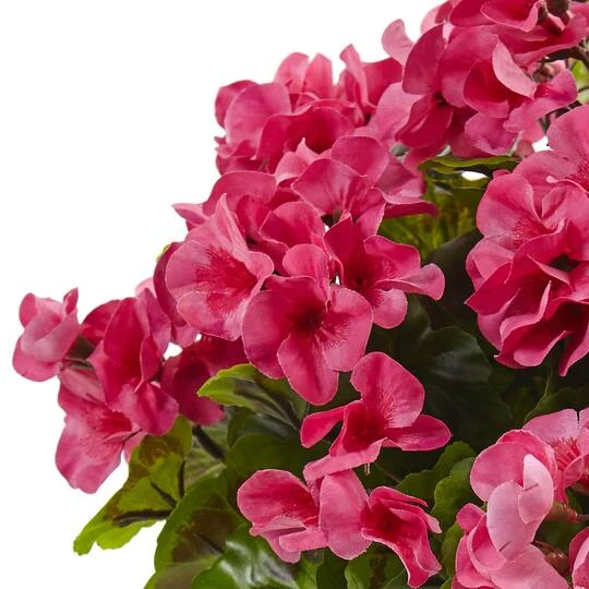 18.5" Pink UV Resistant Geranium Arrangement With White Metal Planter 5 18.5" Pink UV Resistant Geranium Arrangement With White Metal Planter - Image 3