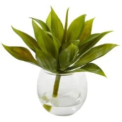 5.75" Mini Agave Succulent In Glass Vase, 3ct. -Michaels D251838S 2