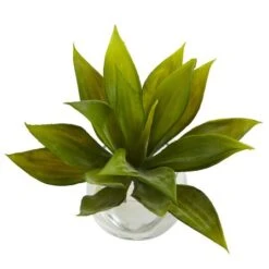 5.75" Mini Agave Succulent In Glass Vase, 3ct. -Michaels D251838S 3