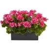 13" Beauty Geranium In Rectangular Planter -Michaels D251842S 11