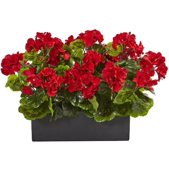13" Red Geranium In Rectangular Planter 3 13" Red Geranium In Rectangular Planter