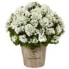 22" Geranium In Farmhouse Planter -Michaels D251845S 11