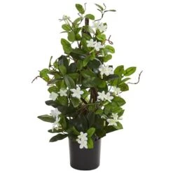24” Potted White Stephanotis Climbing Plant -Michaels D251851S 11 1