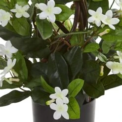 24” Potted White Stephanotis Climbing Plant -Michaels D251851S 13