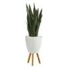 4ft. Snake Plant In White Planter With Stand -Michaels D251864S 1