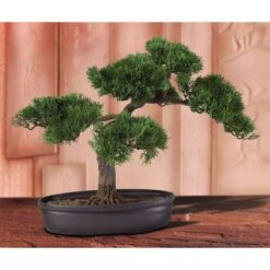 16" Potted Cedar Bonsai Plant -Michaels D251871S 2