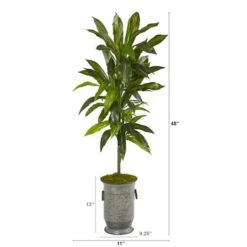 4ft. Dracaena In Vintage Metal Planter 8 4ft. Dracaena In Vintage Metal Planter -Michaels D251874S 2