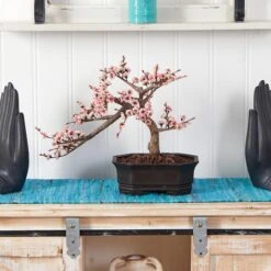 15" Potted Cherry Blossom Bonsai Silk Tree -Michaels D251876S 12
