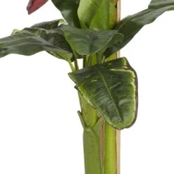 5ft. Potted Banana Tree -Michaels D251918S 13