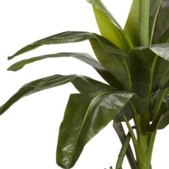 6ft. Potted Banana Tree -Michaels D251921S 13