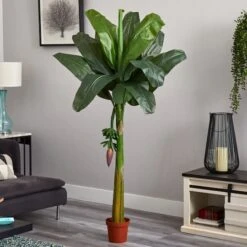 6ft. Potted Banana Tree -Michaels D251921S 14