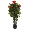 4ft. Potted Red & Green Hibiscus Tree -Michaels D251947S 11