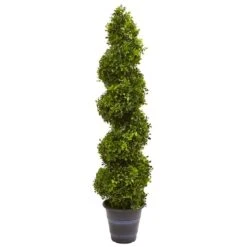 4ft. Boxwood Spiral Topiary In Planter