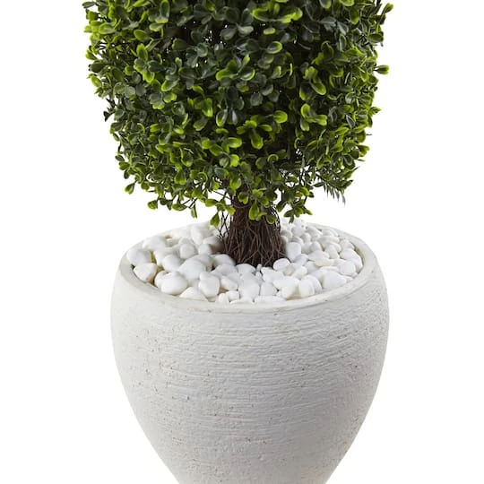 3.5ft. Boxwood Topiary In Textured White Planter 5 3.5ft. Boxwood Topiary In Textured White Planter - Image 3