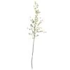 Green Night Willow Stem, 6ct. -Michaels D252187S 1