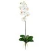 Cream Moth Orchid Stem, 6ct. -Michaels D252196S 1