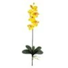 Yellow Moth Orchid Stem, 6ct. -Michaels D252202S 1
