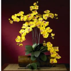 Yellow Moth Orchid Stem, 6ct. -Michaels D252202S 3