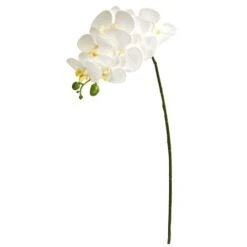 White Moth Orchid Stem, 6ct. -Michaels D252210S 1 1