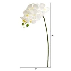 White Moth Orchid Stem, 6ct. -Michaels D252210S 2