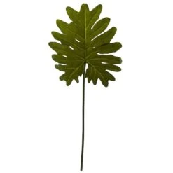 Selloum Philo Single Leaf Stem, 12ct.