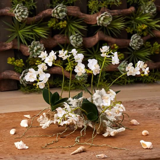 14" Mini Moth Orchid Set On Coral 5 14" Mini Moth Orchid Set On Coral - Image 3