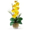 21'' Potted Yellow Moth Orchid Arrangement 2 21'' Potted Yellow Moth Orchid Arrangement -Michaels D262166S 11