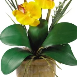 21'' Potted Yellow Moth Orchid Arrangement -Michaels D262166S 12