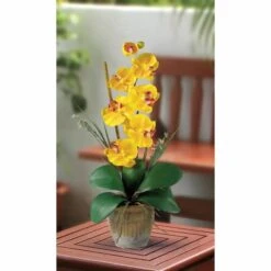 21'' Potted Yellow Moth Orchid Arrangement -Michaels D262166S 13