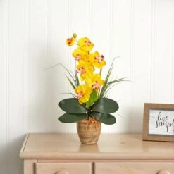 21'' Potted Yellow Moth Orchid Arrangement -Michaels D262166S 14