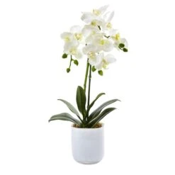 18.5" Moth Orchid In Frosted Glass