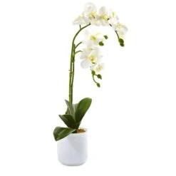 18.5" Moth Orchid In Frosted Glass -Michaels D262171S 12