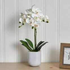 18.5" Moth Orchid In Frosted Glass -Michaels D262171S 13