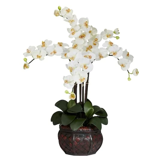 3ft. White Moth Orchid Arrangement In Decorative Vase 3 3ft. White Moth Orchid Arrangement In Decorative Vase