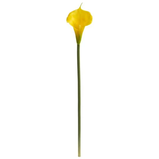 Yellow Calla Lily Stems, 12ct. 4 Yellow Calla Lily Stems, 12ct. - Image 2