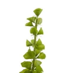 Bells Of Ireland Stems, 3ct. 10 Bells Of Ireland Stems, 3ct. -Michaels D262201S 13