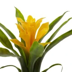 Yellow Bromeliad Flower, 6ct. -Michaels D262202S 3