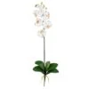 White Moth Orchid Stem, 12ct. -Michaels D262207S 1