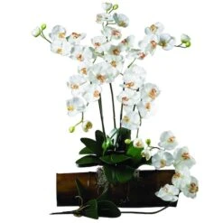 White Moth Orchid Stem, 12ct. -Michaels D262207S 2