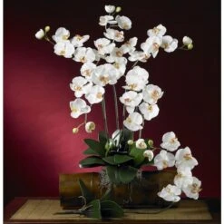 White Moth Orchid Stem, 12ct. -Michaels D262207S 3