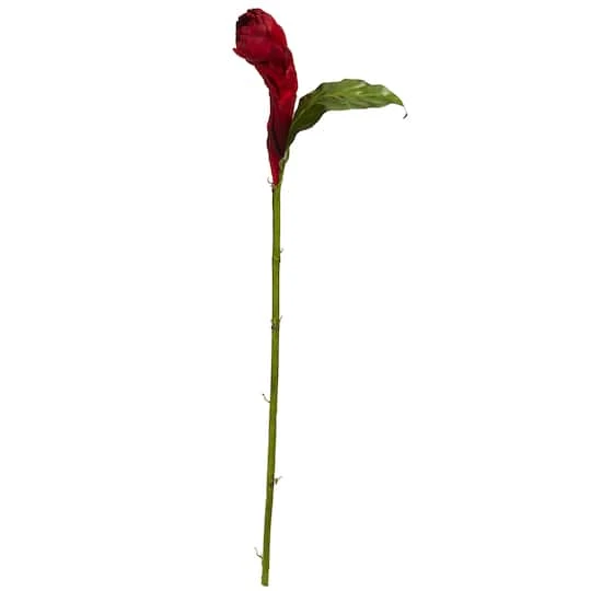 Red Ginger Flower Stem, 3ct. 3 Red Ginger Flower Stem, 3ct.