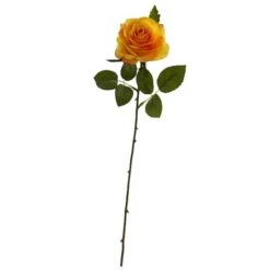 Orange Rose Stems, 24ct.