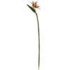 Orange Bird Of Paradise Stems, 4ct. 1 Orange Bird Of Paradise Stems, 4ct. -Michaels D262213S 1