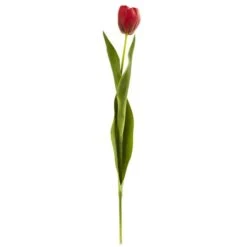 Red Tulip Stems, 8ct.