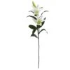White Lily Stem, 12ct. -Michaels D262221S 1